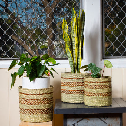 Handwoven Iringa Baskets | Authentic African Baskets